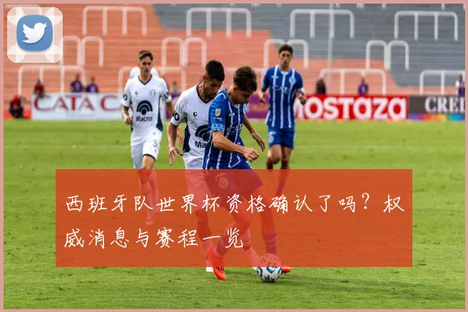 西班牙队世界杯资格确认了吗？权威消息与赛程一览